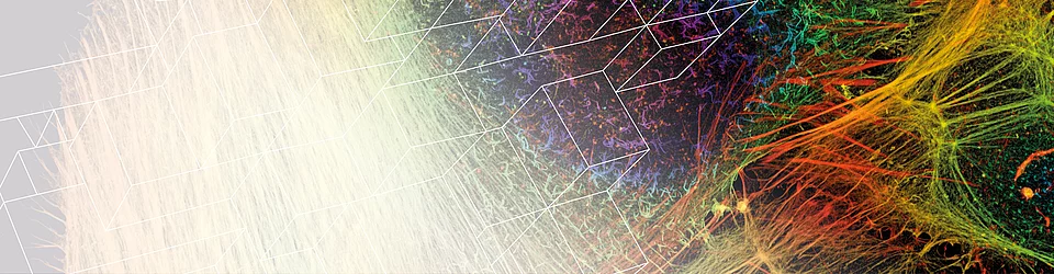 Illustrative Abbildung Imaging Methods
