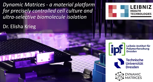 News-Abbildung Dynamic Matrices – a material platform for precisely controlled cell culture and ultra-selective biomolecule isolation